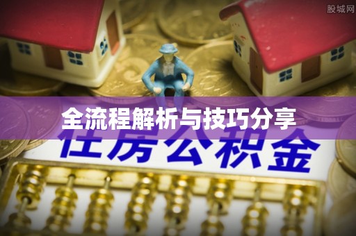 赵县全流程解析与技巧分享
